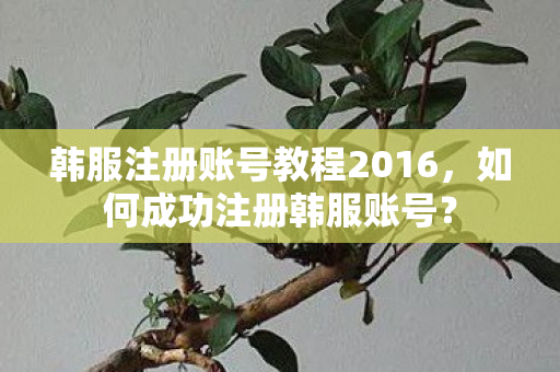 韩服注册账号教程2016图片