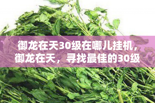 御龙在天30级在哪儿挂机图片