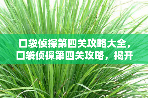 口袋侦探第四关攻略大全，口袋侦探第四关攻略，揭开真相的序幕