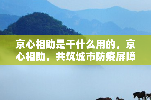 京心相助是干什么用的，京心相助，共筑城市防疫屏障