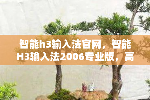 智能H3输入法2006专业版图片