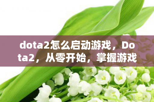 dota2怎么启动游戏，Dota2，从零开始，掌握游戏入门技巧