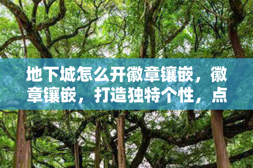 地下城怎么开徽章镶嵌，徽章镶嵌，打造独特个性，点亮你的时尚之路