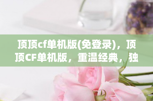 顶顶cf单机版图片