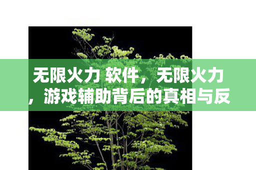 无限火力 软件，无限火力，游戏辅助背后的真相与反思