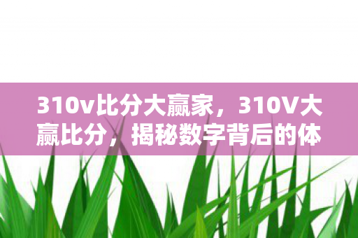 310v比分大赢家，310V大赢比分，揭秘数字背后的体育竞技魅力