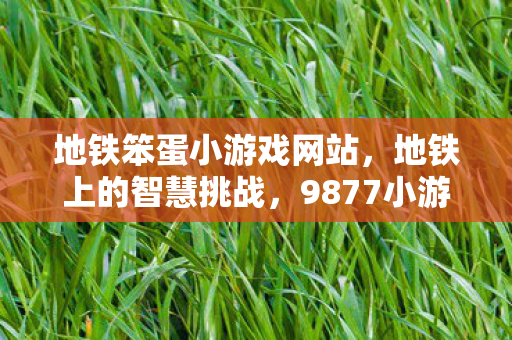 地铁笨蛋小游戏网站，地铁上的智慧挑战，9877小游戏全攻略