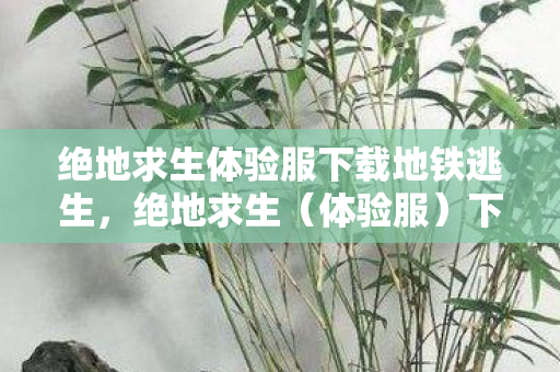 绝地求生体验服下载地铁逃生，绝地求生（体验服）下载地铁逃生攻略