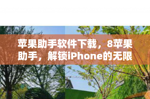 解锁iPhone的无限可能图片