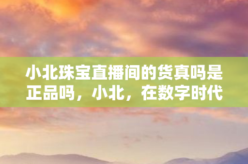 小北珠宝直播间的货真吗是正品吗，小北，在数字时代下的自我成长与突破