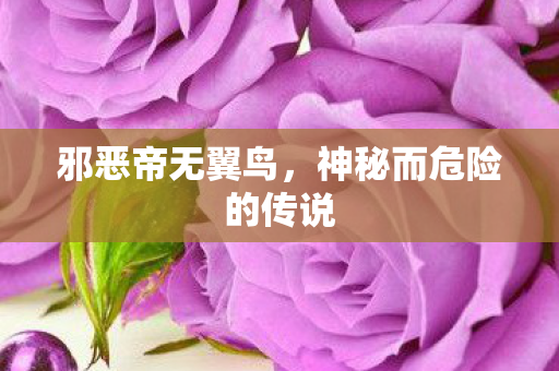 邪恶帝无翼鸟，神秘而危险的传说