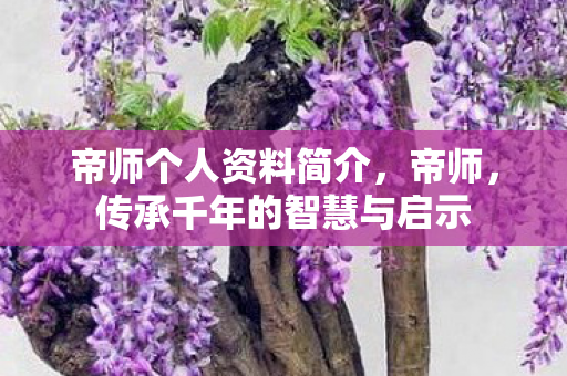 帝师个人资料简介，帝师，传承千年的智慧与启示