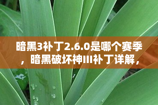 暗黑3补丁2.6.0是哪个赛季，暗黑破坏神III补丁详解，变化、影响与应对策略