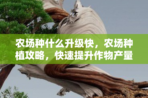 农场种什么升级快，农场种植攻略，快速提升作物产量的秘诀