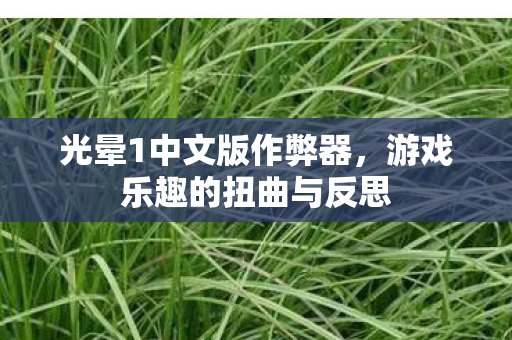 游戏乐趣的扭曲与反思图片