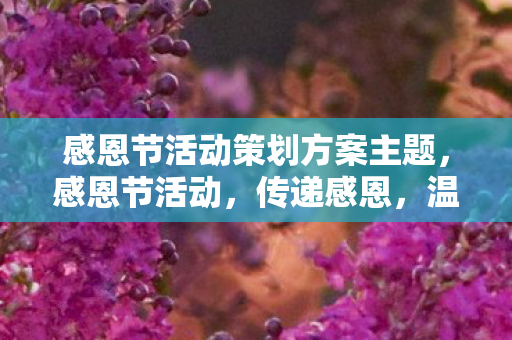 感恩节活动策划方案主题图片
