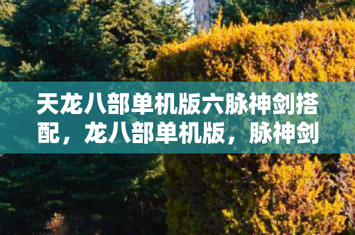 天龙八部单机版六脉神剑搭配，龙八部单机版，脉神剑的神秘传说