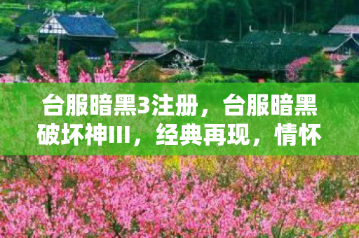 台服暗黑破坏神III图片