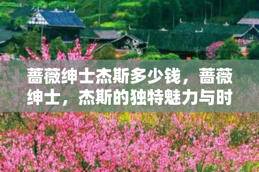 杰斯的独特魅力与时尚哲学图片