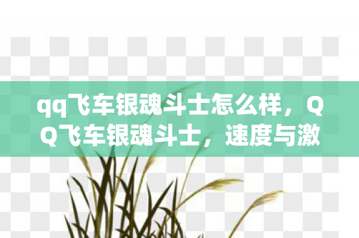 qq飞车银魂斗士怎么样图片