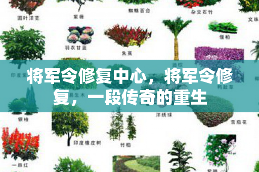 将军令修复中心图片