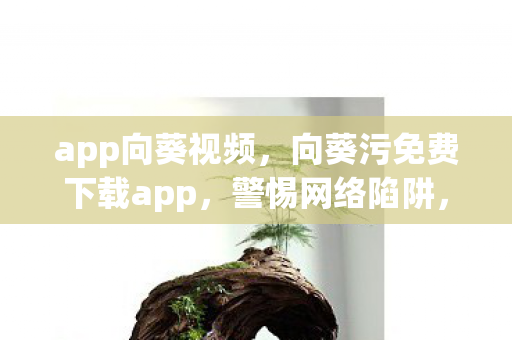 向葵污免费下载app图片