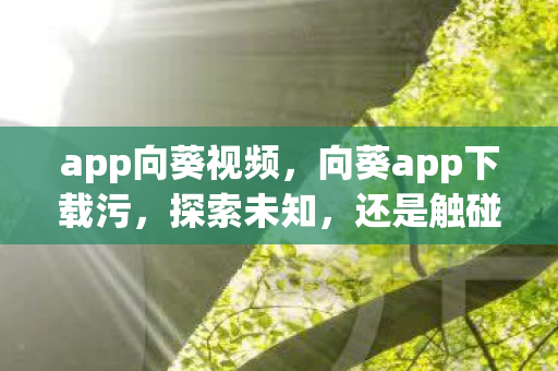 app向葵视频，向葵app下载污，探索未知，还是触碰红线？