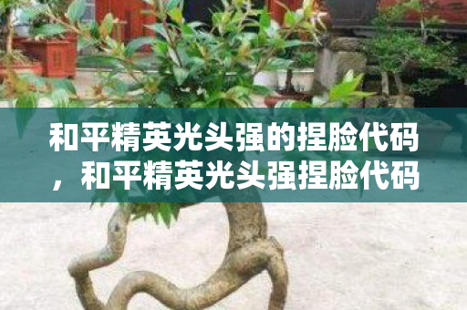 和平精英光头强的捏脸代码，和平精英光头强捏脸代码，打造专属游戏形象