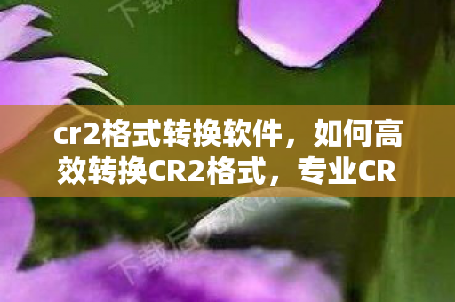 专业CR2格式转换工具大揭秘图片