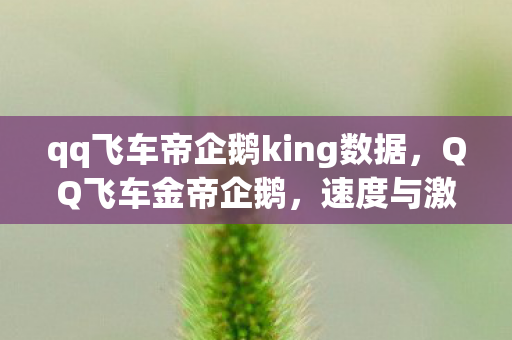 qq飞车帝企鹅king数据图片