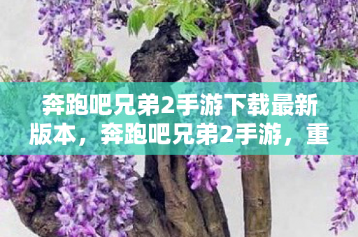 奔跑吧兄弟2手游下载最新版本图片