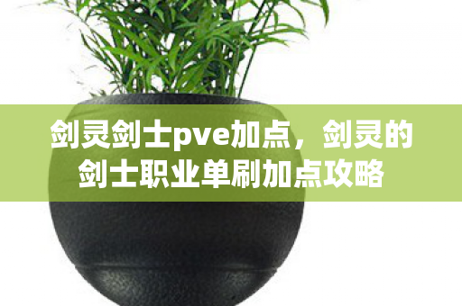 剑灵的剑士职业单刷加点攻略图片