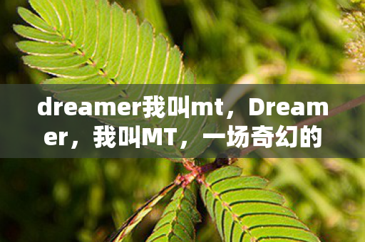dreamer我叫mt图片