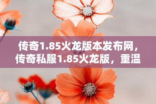 85火龙版本发布网图片