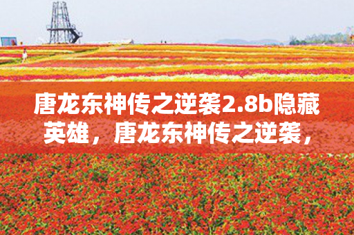 从低谷到巅峰的传奇之路图片