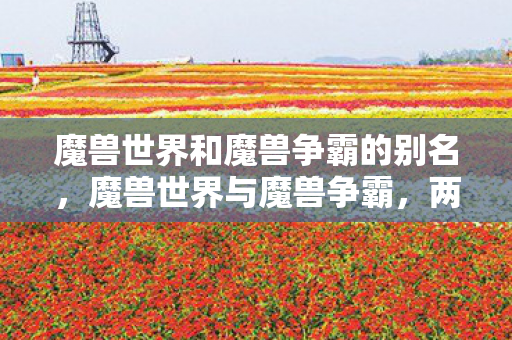 魔兽世界和魔兽争霸的别名图片