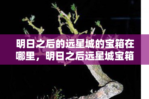 明日之后的远星城的宝箱在哪里图片