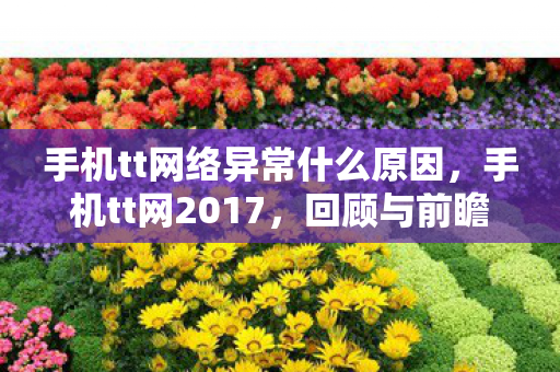 手机tt网络异常什么原因图片