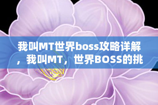 我叫MT世界boss攻略详解图片