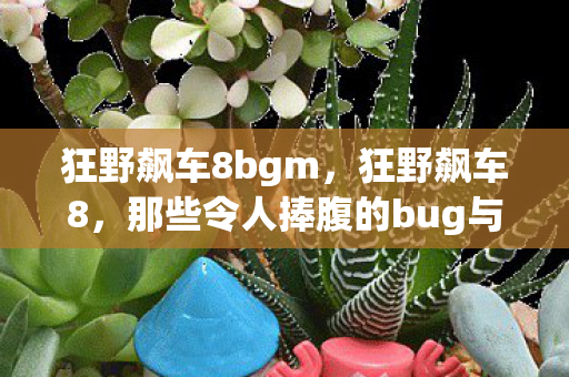 那些令人捧腹的bug与未解之谜图片