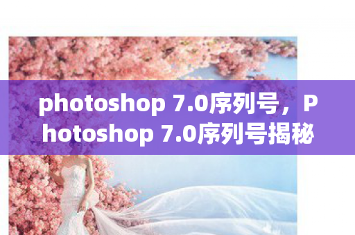 photoshop 7.0序列号，Photoshop 7.0序列号揭秘与软件功能解析
