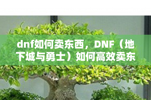 dnf如何卖东西图片