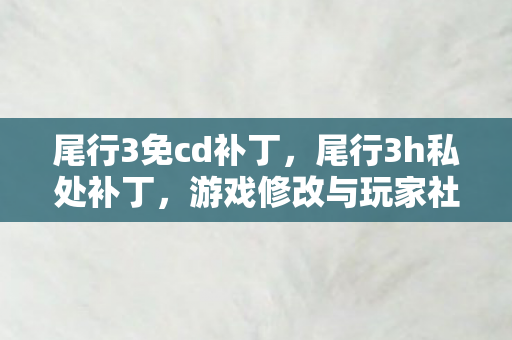 游戏修改与玩家社区的灰色地带图片