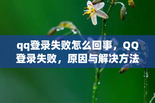 原因与解决方法的全面解析图片
