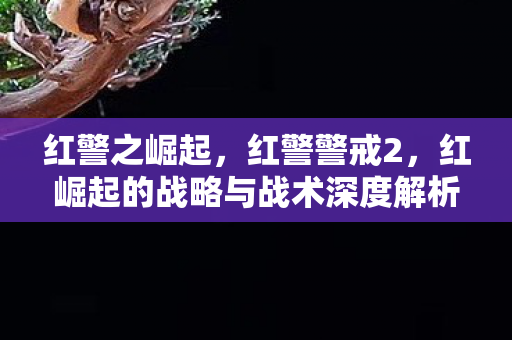 红崛起的战略与战术深度解析图片