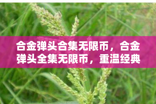 合金弹头合集无限币图片