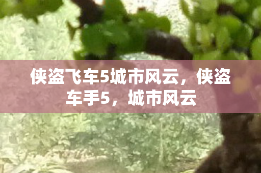 侠盗飞车5城市风云图片