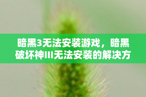 暗黑3无法安装游戏，暗黑破坏神III无法安装的解决方法与常见问题分析