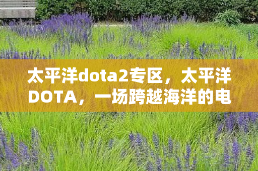 一场跨越海洋的电竞盛宴图片