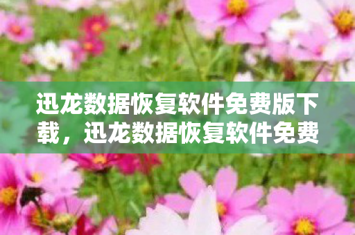 迅龙数据恢复软件免费版下载图片